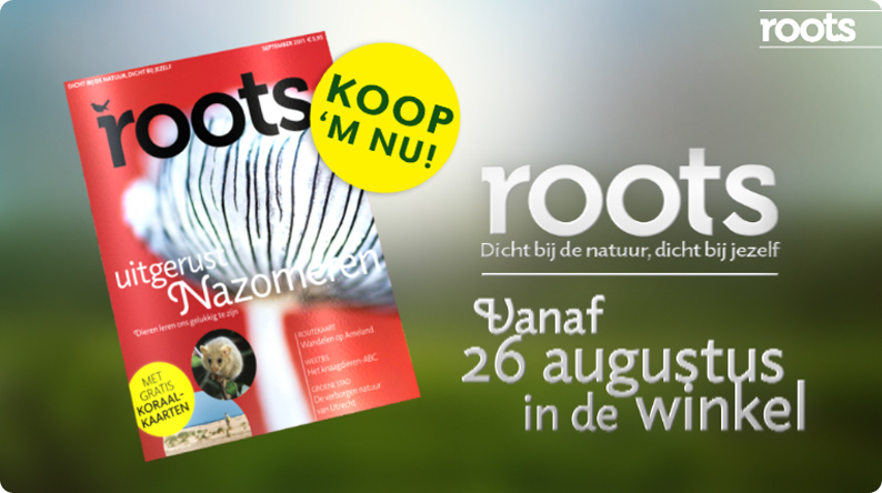 Roots Magazine